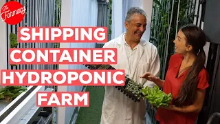 Inside a HYDROPONIC SHIPPING CONTAINER Farm!