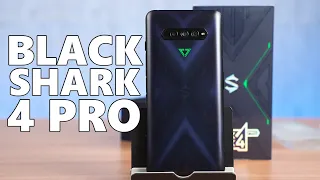 Late to the party? Black Shark 4 Pro review!