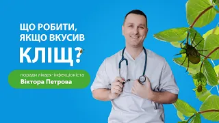 Інфекціоніст Віктор Петров про кліщі, хворобу Лайм-бореліоз