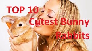 Top 10 Cutest Bunny Rabbits and funny Bunny Rabbit Pets Videos Compilation