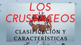 CLASIFICACIÓN DE LOS CRUSTÁCEOS