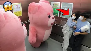 Trapped in Elevator with Giant Bear Mannequins Prank