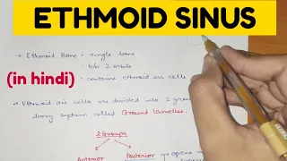 Paranasal sinuses - 5 | Ethmoid Sinus