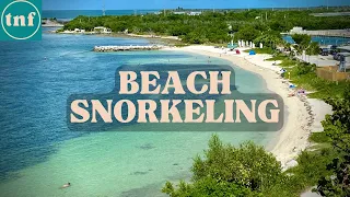 Here’s A Florida Keys State Park Where You Can Snorkel From The Shore | Bahia Honda