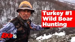 Wild Boar Hunting Turkey 1 Team Work охота на кабана صيد الخنازير البرية