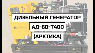 Дизельный генератор АД-60-Т400 (АРКТИКА)