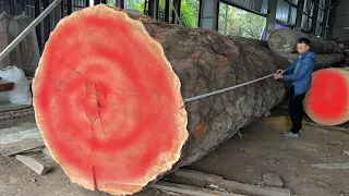 Amazing Sawmill Wood Cutting - Dangerous Biggest Wood Cutting Hundreds Years Old Tree