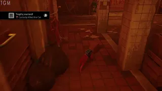 Stray - Curiosity Killed the Cat Trophy - Wear the paper bag | PS4 PS5 PC