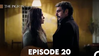 The Pigeon Episode 20 (FULL HD)