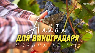 Алиби для виноградаря | Алим Усманов | Церковь "Неемия" г. Омск