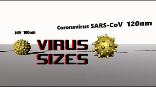 Virus size comparison