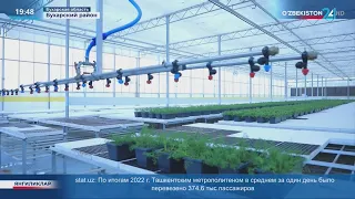 Широкое применение технологии выращивания саженцев методом «инвитро»