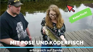 Mit Pose und Köderfisch auf Zander | So einfach fängt man vom Ufer REUPLOAD