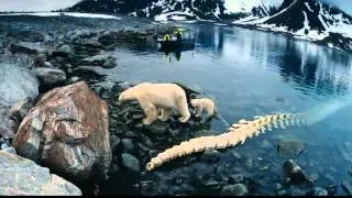 Арктика 3D (Русский трейлер  2012)