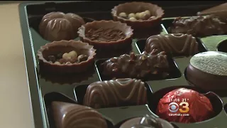 Scientists: Chocolate Producing Plants Facing Extinction By 2050