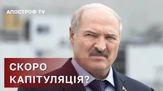 САНКЦІЇ ПРОТИ БІЛОРУСІЇ❗ ПРОВОКАЦІЇ ЛУКАШЕНКА ПРОТИ УКРАЇНИ❗