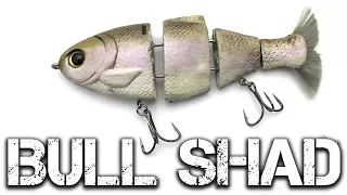 Fishing with Bull Shad Swimbaits