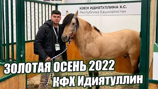 Привезли нашего Башкирского жеребца "Газиза" на Золотую Осень 2022/ КФХ Идиятуллин