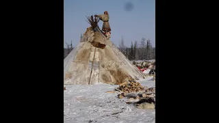 Правила поведения на стойбище оленеводов. 1 часть.