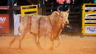 FINAL EM TOUROS - Rodeio de GUAPIAÇU-SP 2023