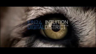 Kin 24 - Intuition  [ #Electro #Freestyle #Music ]