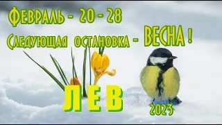 ЛЕВ. 20 - 28 февраля 2023г. Таро прогноз, гороскоп на неделю.