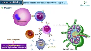 Type I Hypersensitivity Reaction (Animation)