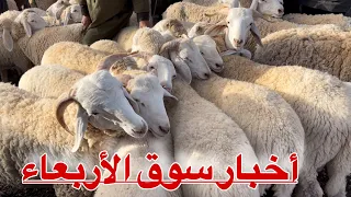 خرفان المشرية لولاية النعامة تصنع الحدث من سوق الأربعاء ولاية البليدة تغطات خاصة 🐏🐏🇩🇿