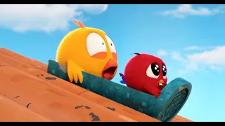 Onde está Chicky? 2023 | JOGO PROIBIDO | Desenhos Animados Infantil | Novos episódios