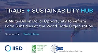 Webinar | A Multi-Billion Dollar Opportunity to Reform Farm Subsidies at the WTO