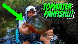 Topwater Panfish!!