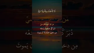 القارئ إسلام صبحي آية الكرسي