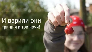 Уникальный рецепт варенья из райских яблок | Вкусная ранетка