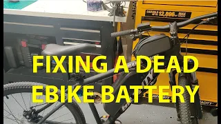 Fixing a dead ebike battery