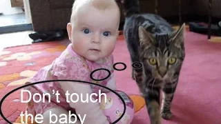 Amazing Cat protecting babies