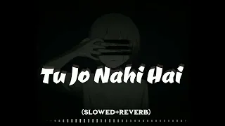 Tu Jo Nahi Hai || Slowed+Reverb || Woh Lamhe || Vicky Singh || Lofi || @audiophile-lofi-records