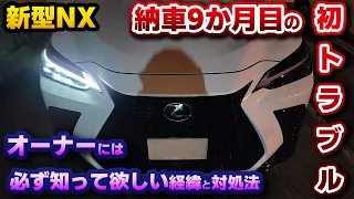 【新型NX】ここ数年で一番のパニック。知られていない落とし穴と対象方をオーナー全員に知ってほしい！納車9ヶ月目に初のトラブル発生 後遺症と対処方法