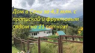 Шок! Дом в Сочи за 4,3 млн  на 11 сотках с пропиской!