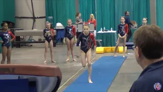 Whitney Bjerken's gymnastics evolution (Vault)