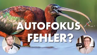 Drei kleine Fehler, die alle machen | Autofokus richtig einstellen |  Tricks in der Naturfotografie