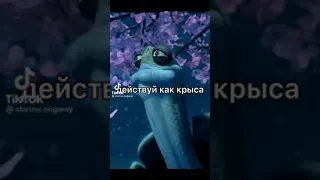 мудрый совет от мудрой черепахи          👺