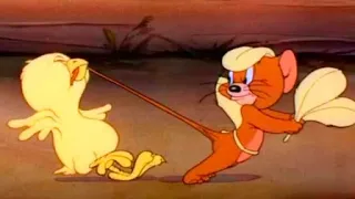 Tom And Jerry | Fine Feathered Friend | Part 2