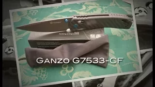 Billig oder Günstig? Ganzo G7533-CF