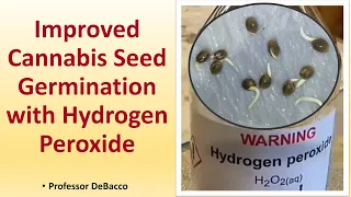 Improved Cannabis Seed Germination with Hydrogen Peroxide