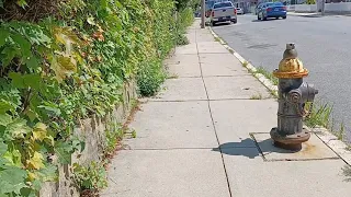 are these city sidewalks wheelchair-accessible