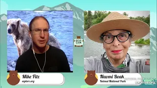 Mid Summer Life of a Brown Bear | Live Chat