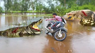 JCB | The Excavator Motorcycles Loading Trucks Scary With Big Snake During New Road Construction