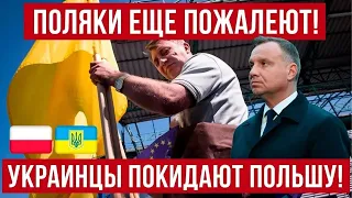 Украинцы МАССОВО выезжают из Польши! Кто их заменит?