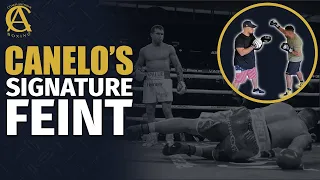 How to do Canelo Alvarez Signature Feint! [ Featuring Dyah Davis ]