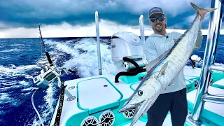 HIGH SPEED Trolling on the Bay Boat! WAHOO Catch/Clean/Clook
